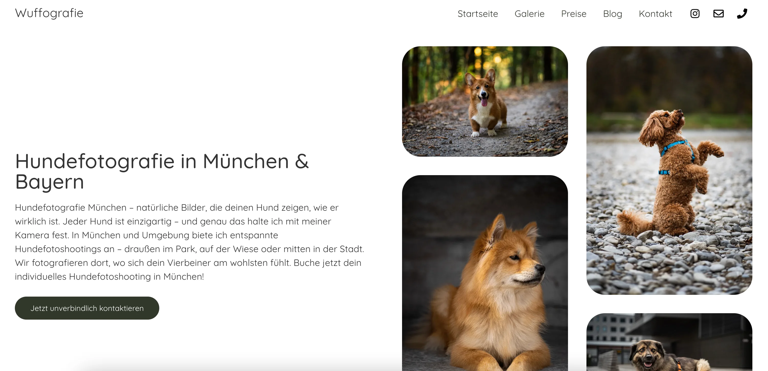 Wuffografie Webseite Screenshot